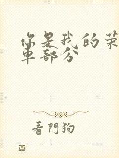 你是我的荣耀开车部分