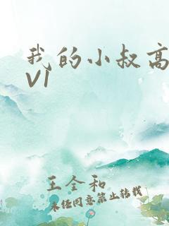 我的小叔高H1V1