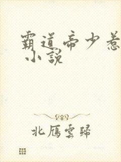 霸道帝少惹不得 小说