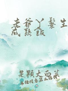 老爷丫鬟生米煮成熟饭