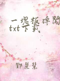 一块板砖闯仙界txt下载