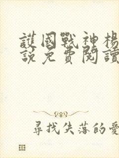 护国战神杨风小说免费阅读