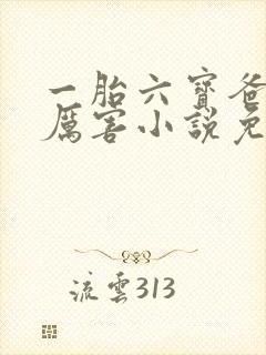 一胎六宝爸比好厉害小说免费阅读