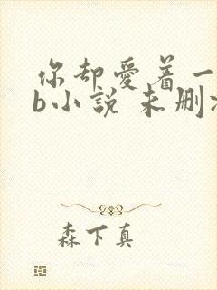 你却爱着一个sb小说 未删减完整版百度云