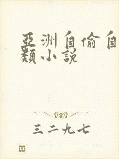 亚洲自偷自拍另类小说