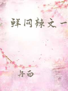 鲜网辣文一对一