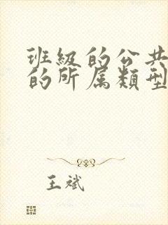 班级的公共小0的所属类型