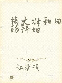 杨大壮和田桂花的耕地