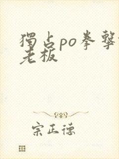 独占po拳击馆老板