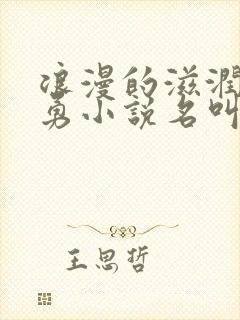 浪漫的滋润刘大勇小说名叫什么?