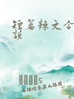 短篇辣文合集小说
