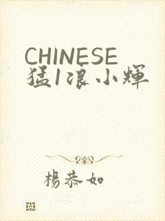 CHINESE猛1浪小辉