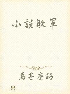 小说败军