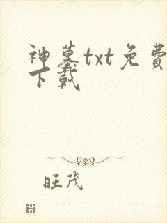 神墓txt免费下载