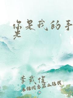 你是我的手冢国光