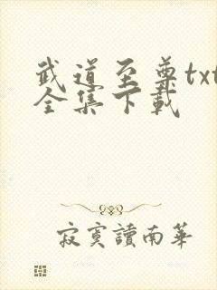 武道至尊txt全集下载