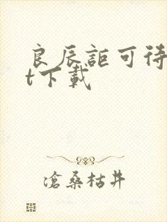 良辰讵可待txt下载