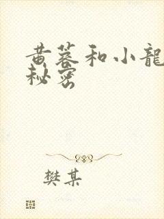 黄蓉和小龙女的秘密