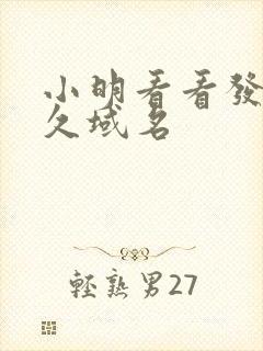 小明看看发布永久域名