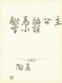 驸马插公主恋战雪小说