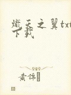 炽天之翼txt下载