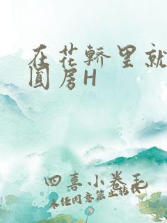 在花轿里就开始圆房H