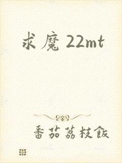 求魔 22mt