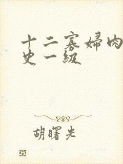 十二寡妇肉床艳史一级