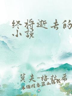 终将逝去的青春小说