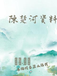 陈楚河资料