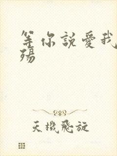 等你说爱我之云殇