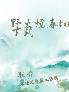 野火烧春txt下载