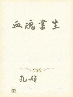 血魂书生