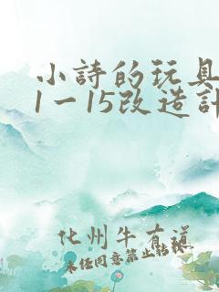 小诗的玩具日记1一15改造计划
