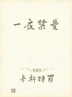 一夜禁爱