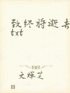 致终将逝去青春txt