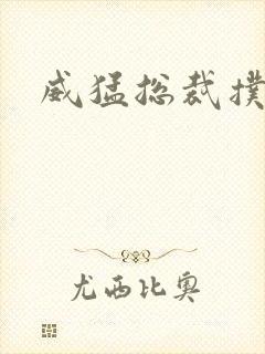 威猛总裁扑娇妻