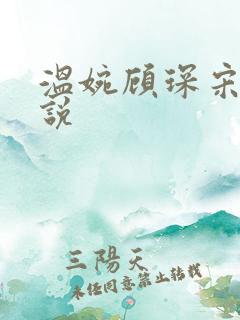 温婉顾琛宋芝小说