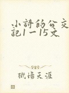 小诗的公交车日记1一15文