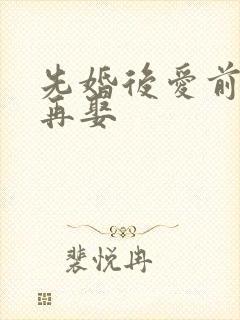 先婚后爱前妻难再娶