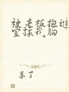 被老板抱进办公室揉我胸