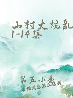 山村大炕乱肉续1-14集