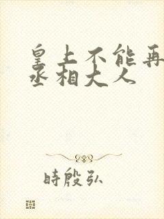 皇上不能再进了丞相大人