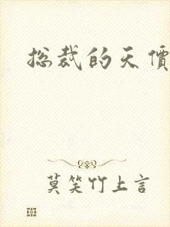 总裁的天价宝贝