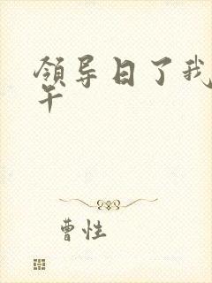 领导日了我一下午