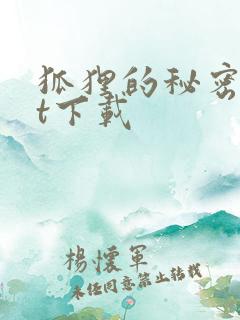 狐狸的秘密txt下载