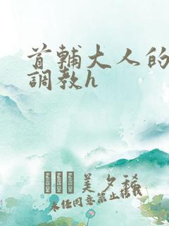 首辅大人的花式调教h