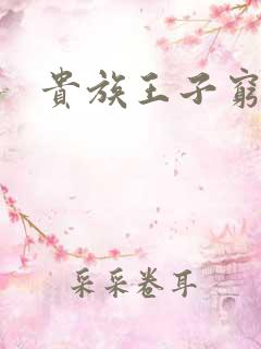 贵族王子穷公主