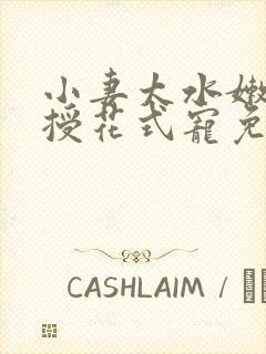 小妻太水嫩陆教授花式宠免费阅读 小说