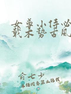 女尊小侍必须佩戴木势古风